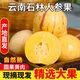 25年頭茬云南特產(chǎn)石林人參果黃皮黃心圓果新鮮應(yīng)季孕婦低糖水果 5斤精選石林肉黃孕低婦糖超甜 小果40-50克