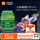 小米（MI）電視S75 Mini LED 2025【國(guó)際補(bǔ)貼20%】75英寸低反屏704分區(qū)1700nits 288HZ澎湃OS一級(jí)能效L75MB-S 75英寸 掛架安裝