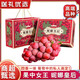 鎖季妮娜皇后葡萄時(shí)令生鮮水果紅寶石無(wú)籽紅提子孕婦水果禮盒中秋送禮 2斤至臻果禮盒裝 單果15g+