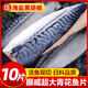 東上御品 挪威青花魚(yú)片 大西洋鯖魚(yú) 冷凍鮐鲅魚(yú) 生鮮魚(yú)類(lèi)青魚(yú) 凈重2斤【5片裝190-220g/片】