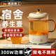 WCZ德國(guó)高顏值養(yǎng)生壺宿舍小功率300w特小號(hào)mini一人小型煮茶器女士養(yǎng)生杯 禮盒裝養(yǎng)生杯加厚杯身+自動(dòng)保溫+300 0.6L