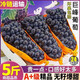 愛(ài)鮮摘農場(chǎng) 遼寧巨峰葡萄【順豐-多地次日達】陽(yáng)光黑葡萄提子水果禮盒送禮物 嘗鮮果｜單果4-6g 2斤裝【量較少-運費貴】