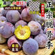 今果港【禮盒裝】四川脆紅李脫骨李新鮮現摘現發(fā)半邊紅整箱孕婦水果包郵 帶箱5.1斤【精選大果】人工精選