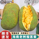 式果禮海南榴蓮蜜 榴蓮菠蘿蜜濕包軟糯香甜菠蘿蜜巴掌熱帶新鮮水果整個(gè) 3-4斤 精選榴蓮蜜【催熟食用】