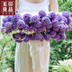 無(wú)印良品手工玫瑰花束毛毯子成品披肩毯午睡毯diy創(chuàng  )意送女友教師節日禮物 桑薇-紫色【花束蓋毯 出片神器】 直徑約150cm【拍照出片神器】