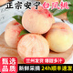 甘肅蘭州安寧白鳳桃白粉桃水蜜桃水果新鮮當季整箱子現(xiàn)摘桃子 9顆 蘭州白鳳桃中果 航空運輸