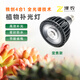澤農(nóng)ZenoLUX 植物補(bǔ)光燈 四合一全光譜 PAR30 多肉蝴蝶蘭龜背竹等 定焦PAR30/4000K/30W/40°/黑色