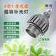 澤農(nóng)ZenoLUX 植物補(bǔ)光燈 四合一全光譜 PAR30 多肉蝴蝶蘭龜背竹等 變焦PAR30/4000K/30W/15°~60°