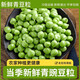 博多客新鮮豌豆粒速凍青豌豆甜青豆冷凍麥豌豆生青豆粒蔬菜順豐包郵 2斤