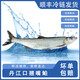 楚食比亞水源地丹江口市翹嘴鲌新鮮現(xiàn)殺翹嘴白魚翹嘴魚大白刁刁子魚禮盒 2斤裝（2斤左右每條）1條