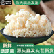 新鮮繡球菌食用菌菇 順豐空運涼拌煲湯火鍋口感脆爽食材 新鮮繡球菌 1000g