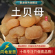 墨源土貝母中藥材土貝大貝母地苦膽草貝非野生新鮮干貨大粒新貨可打粉 土貝母500克【新貨】
