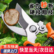 弘工果樹(shù)枝條修枝剪刀樹(shù)枝園藝園林花園花藝花剪強力省力