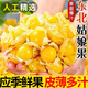 金百粟【順豐送貨】東北姑娘果 黃菇娘燈籠果洋姑娘果新鮮水果生鮮 姑娘果帶箱2斤裝【鮮甜脆爽】