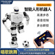 幻爾舞蹈格斗智能人形機器人RoboSoul H5S 創(chuàng)客教育編程機器人可手機語音控制比賽仿生機器人 白色 全套成品