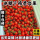 順豐正宗釜山88玲瓏小番茄千禧果5斤小番茄圣女果櫻桃小番茄整箱9 3斤順豐【甄選裝】