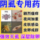 陰虱虱卵專(zhuān)用藥硫軟膏陰虱男私處專(zhuān)用藥蟲(chóng)卵一掃光私處止癢抑菌硫磺膏男女士用私處滅陰虱藥膏 1盒裝【虱子咬傷潰爛半夜癢醒滅虱藥】