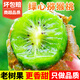 甜果源 獼猴桃徐香 陜西周至奇異果新鮮當(dāng)季水果彌猴桃新鮮酸甜整箱包郵 凈重4.5-5斤【單果60-80g】