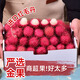 優(yōu)味集紅毛丹【JD順豐速發(fā)】進(jìn)口毛荔枝新鮮孕婦水果整箱節(jié)日送禮 250g裝（商超A+級(jí)大果嘗鮮)