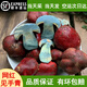 見手青新鮮云南野生菌紫蔥牛肝菌蘑菇特產紅蔥白蔥美味黃黑牛肝菌 見手青【新鮮精品 現采現發(fā)】 500g