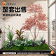 故森仿真綠植組合造景樓梯下商場櫥窗裝飾布置假植物陽臺花園室內(nèi)景觀 紅葉南天竹套餐R【2米長】