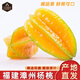 傾睦福建漳州楊桃清甜多汁五角星陽(yáng)桃時(shí)令當季現摘現采現發(fā)的新鮮水果 凈重4.5-5斤單果150g