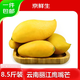 京鮮生 云南鷹嘴芒凈重8.5斤裝 單果200g+ 生鮮水果源頭直發(fā)