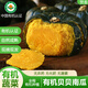 京地達河北有機貝貝南瓜凈重5斤單果500g新鮮蔬菜無(wú)農殘源頭直發(fā)包郵