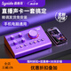 森林島Synido森林島手機平板電腦直播外置聲卡帶貨設(shè)備麥克風手機電腦話筒Voice100全民K歌唱歌套裝 【旗艦版】VOICE 100聲卡+48v擴音器
