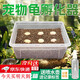 星舵爬寵種龜?shù)胺趸鳠o菌蛭石守宮蛇蛋蜥蜴孵化盒保濕透氣烏龜孵化箱 S碼孵化器1套 適合6個蛋
