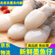 墨魚仔新鮮冷凍小墨魚鮮活冷凍烏賊小魷魚撈汁小海鮮火鍋食材撈汁 墨魚仔大號(hào)(1000g左右)