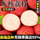 果益壽無(wú)核荔枝【JD/順豐多地隔日達(dá)】海南荔枝新鮮水果送禮 凈重2.5-3斤丨大果20-24顆/斤