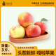 中果農(nóng)茂2025頭茬現(xiàn)摘嘎啦青蘋果美八脆甜爽口冰糖心蘋果丑蘋果整箱 凈重4.5斤【65mm+】