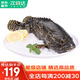 哆鮮生 海捕石斑魚 野外生長(zhǎng)鮮活冷凍東星斑龍躉斑三去龍膽斑魚類生鮮 三去珍珠斑 750-900克