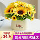 雙盟仿真花室內(nèi)假花藝盆栽life陶瓷盆向日葵客餐廳仿真植物裝飾擺件