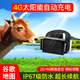 珍匠牛羊定位器放牧馬山區(qū)防丟失牲畜動(dòng)物監(jiān)控追跟蹤訂位儀GPS太陽(yáng)能 4G太陽(yáng)能：1萬(wàn)毫安+防水+零資費(fèi)