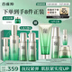 百雀羚（PECHOIN）護膚套裝肌初4件套水水乳精華抗皺緊致保濕品質(zhì)國貨送女友