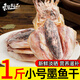 東上御品 山東 小號墨魚干凈重500g 50-60頭淡曬目魚干烏賊煲湯-源頭直發(fā)