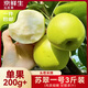京鮮生 蘇翠一號 凈重3斤 單果200g+ 新鮮水果 源頭直發(fā)包郵