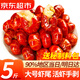 往牧小龍蝦尾 冷凍生鮮大號冷凍蝦球 夜宵燒烤 固形物含量≥60% 【送料包】大號龍蝦尾5斤