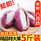 采緹（CAITI）新鮮八月瓜水果八月炸5斤九月黃當季野香蕉甜香瓜大果孕婦時(shí)令 精選1斤裝 中果