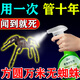 蜘蛛殺蟲劑家用室內(nèi)一窩端蟲卵雙殺驅(qū)蟲除殺蜘蛛專用藥噴霧神器 特效一瓶裝【蟲卵雙殺】
