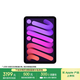 Apple/蘋果 iPad mini (A17 Pro) 8.3英寸 平板電腦(128G eSIM版/mini7/MXQ33CH/A)紫色