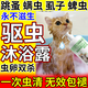 貓咪沐浴露驅蟲(chóng)殺菌除螨除臭止癢去跳蚤虱子螨蟲(chóng)蜱蟲(chóng)洗護一體留香 單瓶裝【一洗蟲(chóng)清】500ml