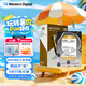 西部數(shù)據(jù)（WD）2TB 企業(yè)級(jí)機(jī)械硬盤(pán) WD Gold 西數(shù)金盤(pán) SATA 7200轉(zhuǎn)128MB CMR垂直 服務(wù)器硬盤(pán) 3.5英寸WD2005VBYZ