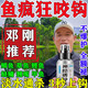 木允瑤神經(jīng)誘導素黑坑野釣釣魚(yú)小藥添加劑餌料鯽魚(yú)鯉魚(yú)噴霧開(kāi)口劑誘魚(yú)劑 誘導素100ml【1瓶】 適合所有餌料窩料添加