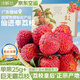 京地達廣東增城仙進奉荔枝 2.5斤精品特大果25g+ 空運新鮮水果源頭直發(fā)