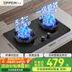歐派（OPPEIN）燃?xì)庠钐烊粴饷簹庠顮t灶 國家補(bǔ)貼20%家用液化氣猛火灶雙灶 防爆磨砂玻璃爐頭灶HD70 【5.2KW猛火】天然氣