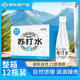 愉果先生白樺樹汁蘇打水植物飲料 365ml*12瓶整箱