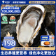 貝司令 鮮活乳山生態(tài)生蠔5XL 凈重9斤 14-18只 生鮮海鮮貝類 源頭直發(fā)
